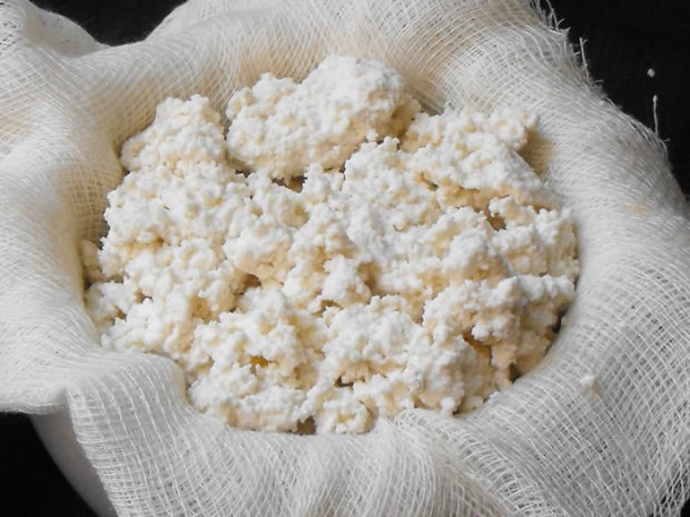 Ricotta cheese