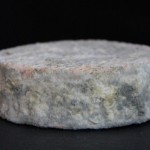 Toe Cheese